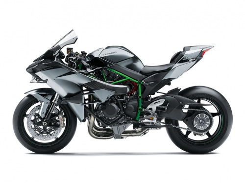 Kawasaki Ninja H2R Серый 2019